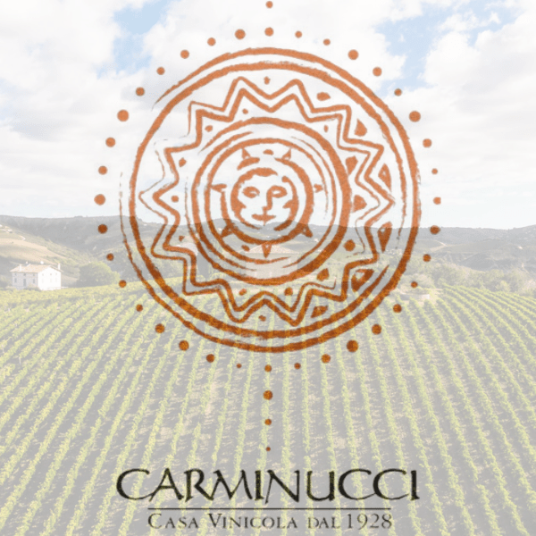Casa vinicola Carminucci Weine aus Marken in Italien