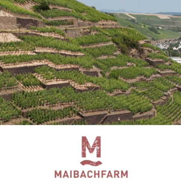 Weinberge der Maibachfarm mit Logo im unteren Drittel des Bildes