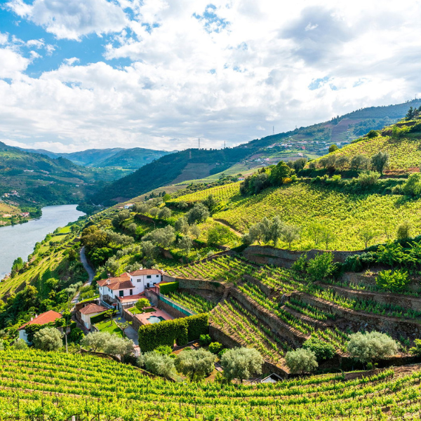 Quinta da Carvalhosa Santo Adriao