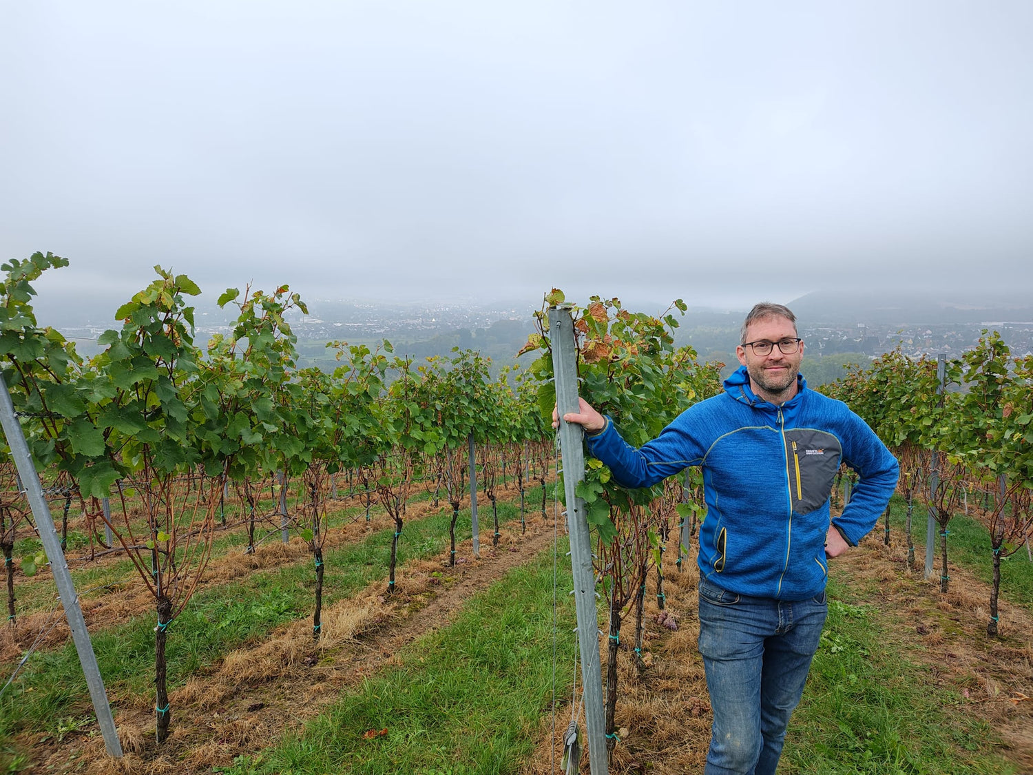 Der Winzer Sebastian Schneider in seinen Weinreben, vor einem bewölktem Hintergrund