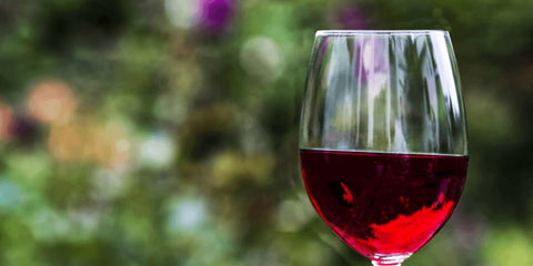 Ist Rotwein gesund? Was die Forschung weiß - WineAmigos