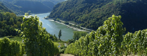 Mittelrhein-Winzer im Aufschwung - WineAmigos