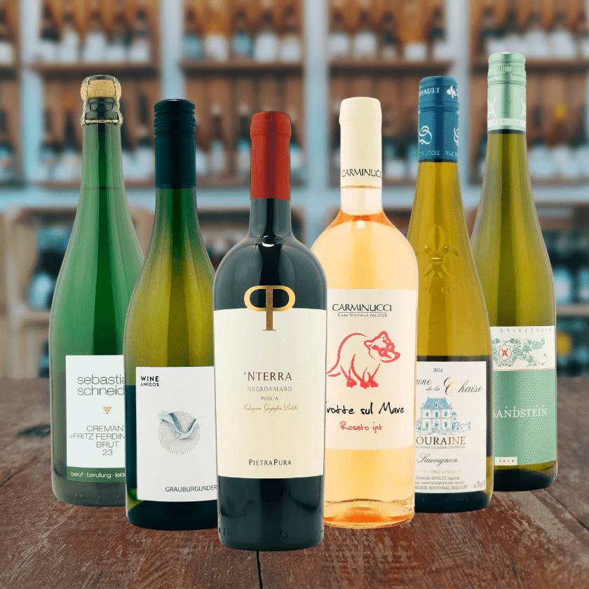Ein elegantes Weinpaket bestehend aus den Lieblingsweinen der Vinothek Bonn. Zu sehen sind mehrere Flaschen Wein und Sekt. Im Hintergrund die Räumlichkeiten der Vinothek.
