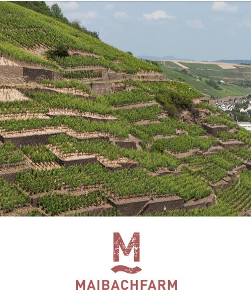 Weinprobe Maibachfarm - WineAmigos