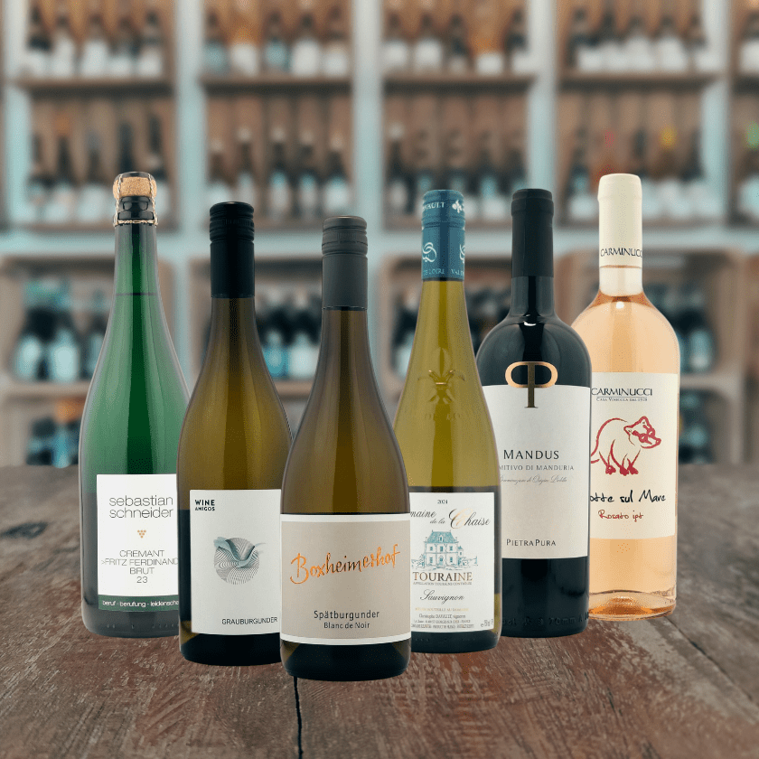 Eine ansprechende Darstellung mit einer Auswahl hochwertiger Weinflaschen, stilvoll präsentiert im eleganten Innenraum einer Vinothek.